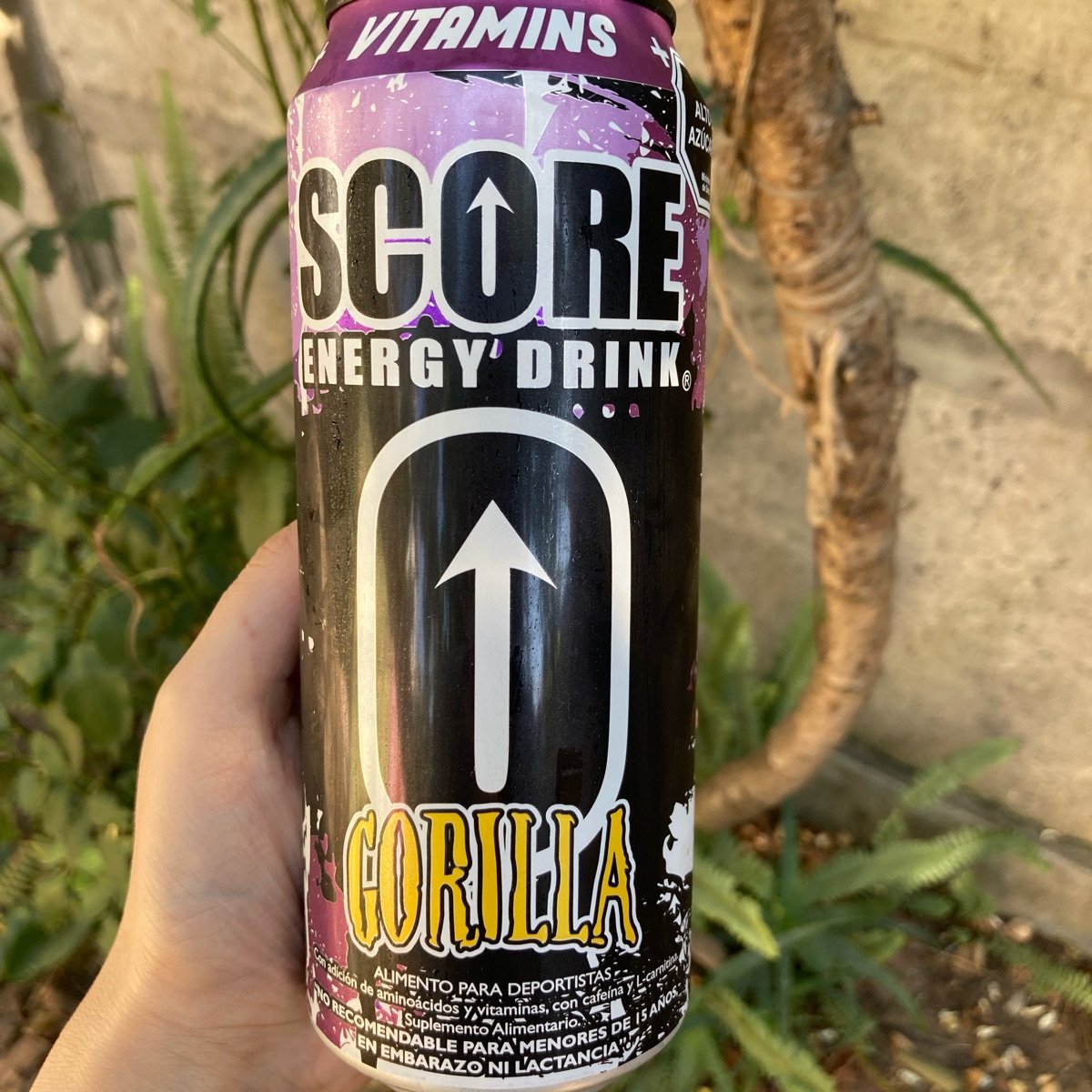 Energetica Score Gorilla 24X473Cc