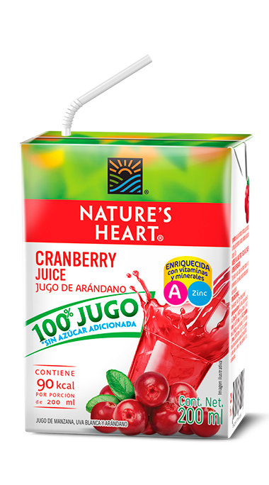 Oye  Energetica  Arandano  500 Ml