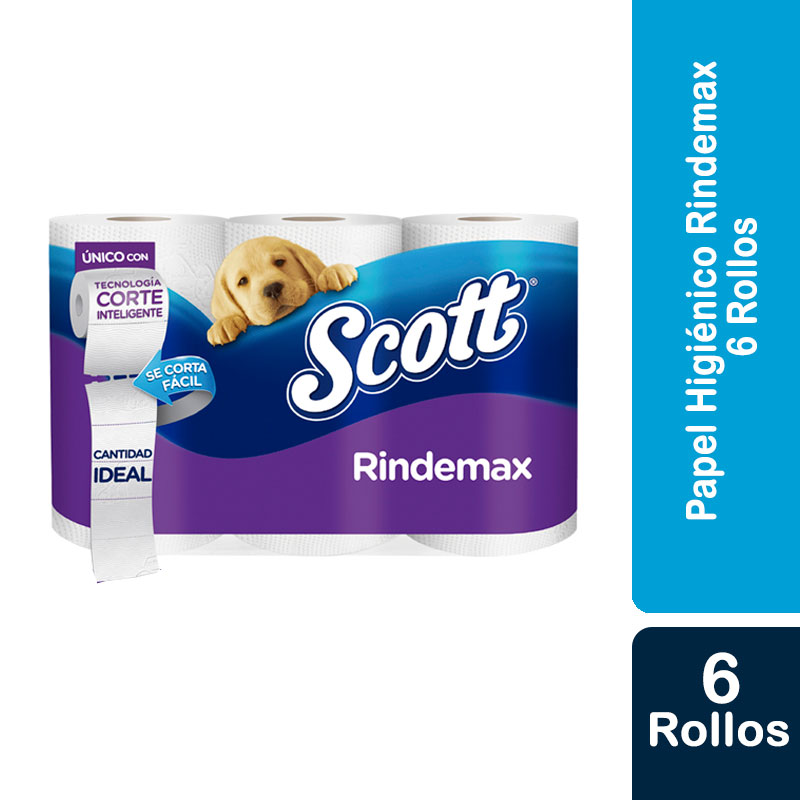 Papel Scott Rindemax 4X12X21Mt