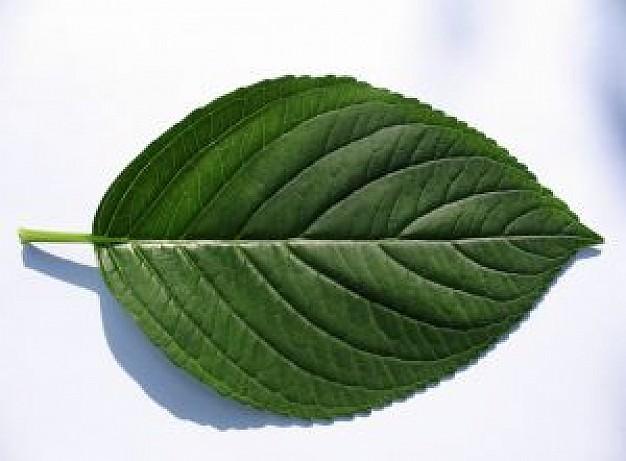 Hoja Super Chromiumx30Nmb